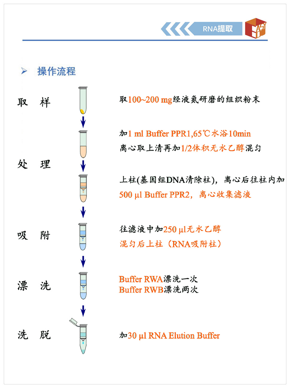 Easy Plant RNA Kit 多糖多酚RNA提取试剂盒 - 浙江易思得生物科技有限公司